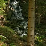 Goralski Dom W Parku Krajobrazowym Дом отдыха Бренна