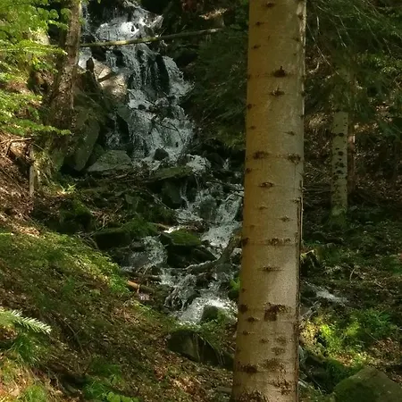 Góralski Dom W Parku Krajobrazowym Casa de Férias Brenna