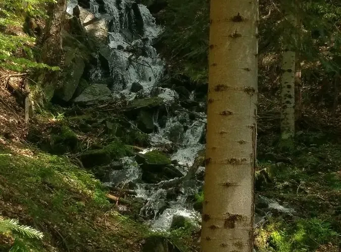 Goralski Dom W Parku Krajobrazowym בית נופש ברנה